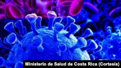 El coronavirus ha sido catalogado de pandemia por OMS "debido a su propagación mundial".