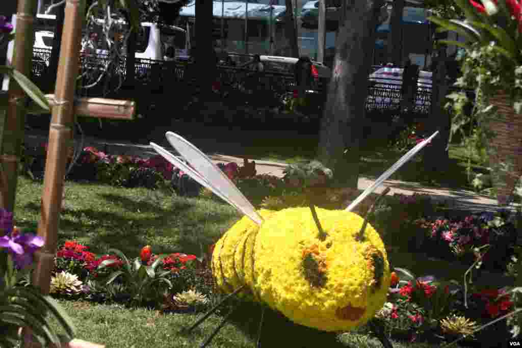 Suriyalik uch yashar kurd bola Alan Kurdining sohilda yotgan jasadi olib ketilmoqda, 2-sentabr, Bodrum, Turkiya