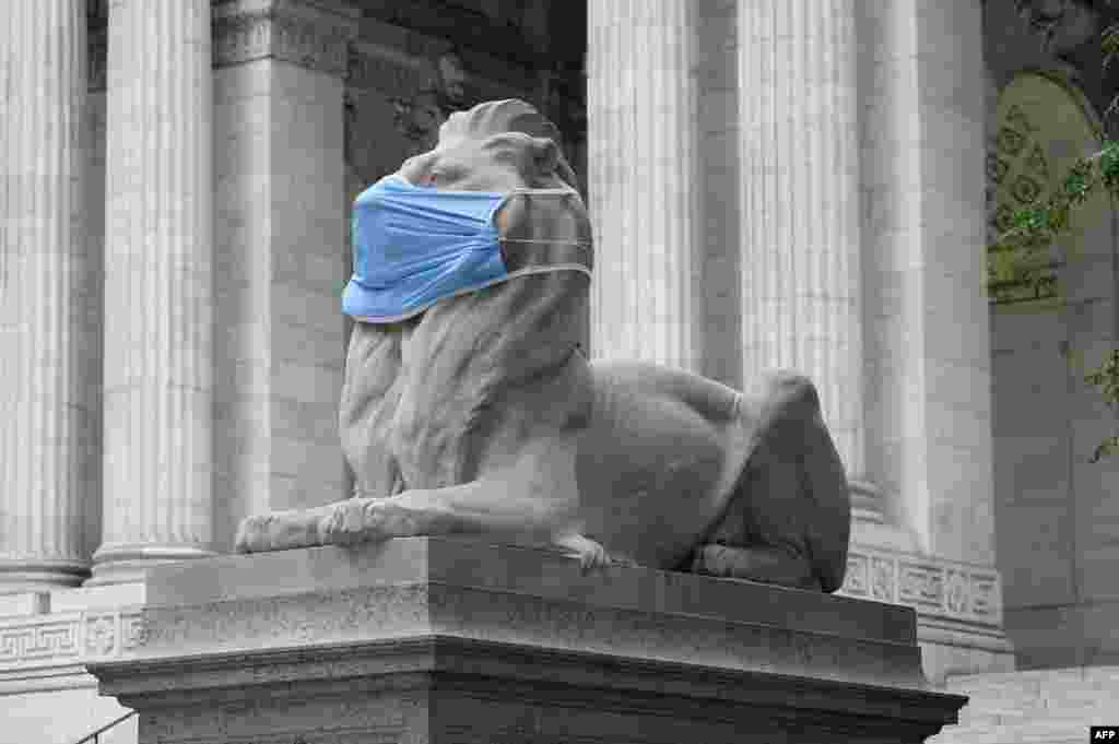 미국 뉴욕시 맨하탄에 위치한 뉴욕 공립도서관 앞에 세워진 사자 동상에 마스크가 씌워져 있다. 