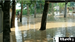 শেরপুর জেলায় পাহাড়ি ঢলের পানি কমতে শুরু করায় বন্যা পরিস্থিতির উন্নতি হচ্ছে। ৮ অক্টোবর, ২০২৪।