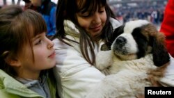 Penyuka anjing bisa meminjam anjing untuk waktu singkat dengan aplikasi baru (foto: ilustrasi).
