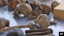 Hominid fossil casts on exhibit at Turkana Basin Institute's Ileret research facility, northern Kenya, 2008.