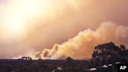 Asap membubung dari kebakaran dekat Springwood, bagian barat Sydney (17/10). (Foto: New South Wales Rural Fire Service)