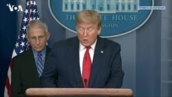 Прямая трансляция пресс-конференции рабочей группы по коронавирусу (24 марта)