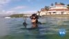 อาสาสมัครชาวออสเตรเลียร่วมดำน้ำเก็บ 'หลอดพลาสติก' ใต้ทะเล