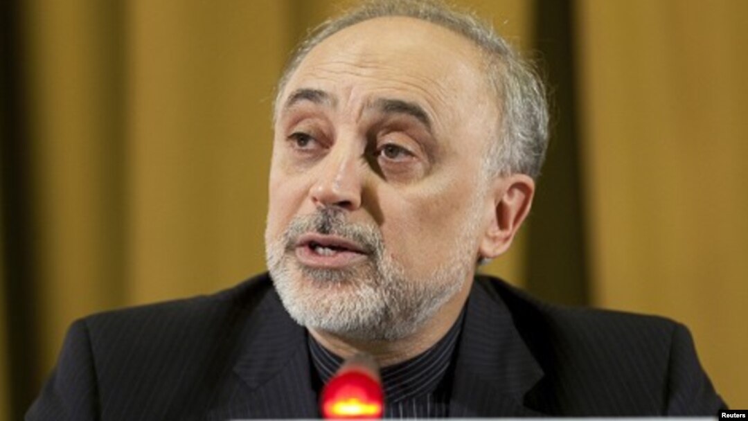 Menlu Iran Ali Akbar Salehi menyerukan pemimpin Gerakan Non-Blok menentang sanksi Barat terhadap Iran (foto: dok).