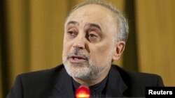 Menlu Iran Ali Akbar Salehi menyerukan pemimpin Gerakan Non-Blok menentang sanksi Barat terhadap Iran (foto: dok).