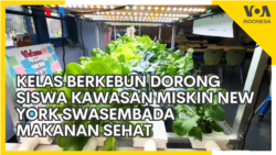 Kelas Berkebun Dorong Siswa Kawasan Miskin New York Swasembada Makanan Sehat