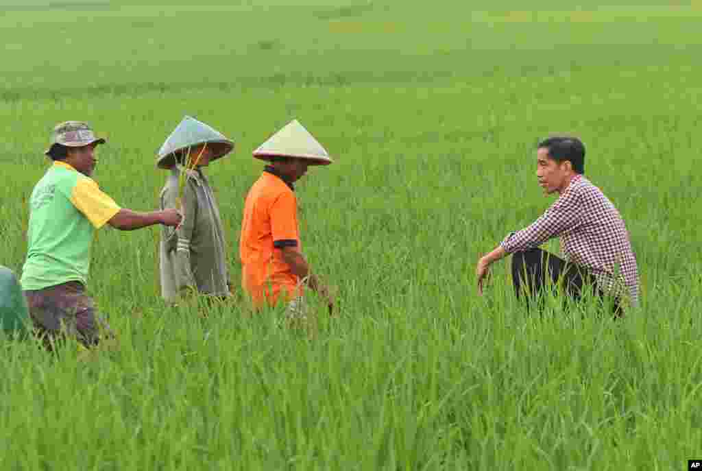 Indonesian presidential candidate Joko Widodo, popularly known as &quot;Jokowi,&quot; right, talks to farmers as he makes a brief stop during a campaign rally in Banyumas, Central Java.&nbsp; Indonesia will hold its presidential poll on July 9.&nbsp;