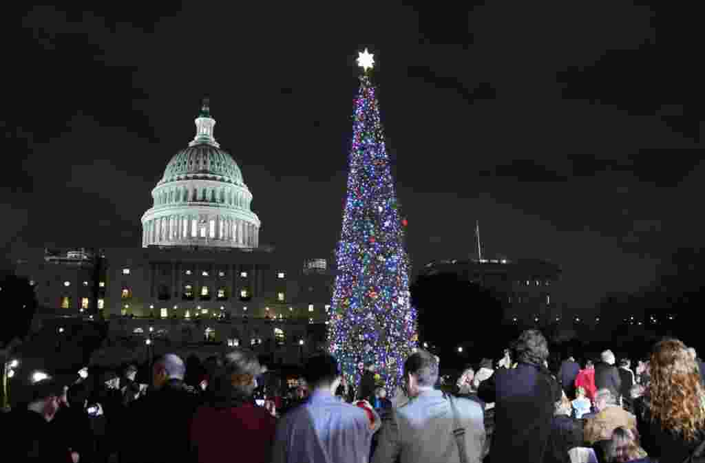 مردم در حال عکس گرفتن از درخت کریسمس