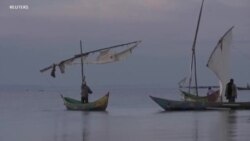 La pandémie de coronavirus fait sourire les pêcheurs