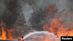 Seorang pemadam kebakaran mencoba memadamkan api kebakaran lahan dekat Marmaris, Turki, 1 Agustus 2021.