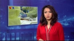 Sapa Dunia VOA 8 Februari 2016