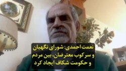 نعمت احمدی: شورای نگهبان و سرکوب معترضان، بین مردم و حکومت شکاف ایجاد کرد