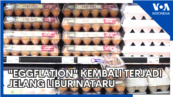 "Eggflation" Kembali Terjadi Jelang Libur Nataru