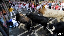 Para peserta Festival San Fermin berusaha menghindar dari banteng-banteng. Pamplona, Spanyol Utara.