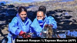 Deux bénévoles recueillent les fuites de pétrole du vraquier MV Wakashio qui s'était échoué sur la plage de Mahébourg, au sud-est de l'île Maurice, le 12 août 2020. (Photo: Beekash Roopun / L'Express Maurice / AFP)