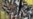 NYC Museum Given $1 Billion in Cubist Art