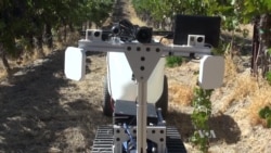 Researchers Develop Robot to Tackle Mundane Farm Tasks