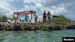 Para turis AS di kolam laut alami di Rawa Zapata, Kuba selatan. (Foto: Dok)