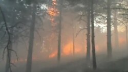 Zjarret pyjore në Shqipëri