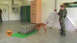 جرمنی میں کرونا وائرس کی تشخیص کا انوکھا طریقہ