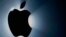 Apple Inc. 