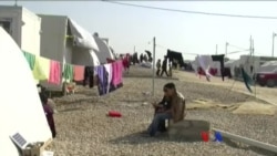 IS လက်ကလွတ်လာတဲ့ Yazidis အမျိုးသမီးများ