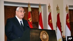 Interim President Adly Mansour speaks to government officials and members of the panel that drafted Egypt's amended constitution at the presidential palace in Cairo, Egypt, Saturday, Dec. 14, 2013. 