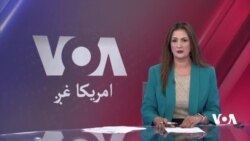 د پولو بنديدل، افغان بزګران اړ کړي چې  انګور په ممیز بدل کړي.
