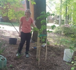 Anka Meyer of Hyattsville, Md., says trees make a huge difference in the climate and save energy.