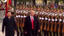 Trump recibido oficialmente en China con elaborada ceremonia