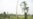 Agriculture, Forestry Key to Mitigating Climate Change