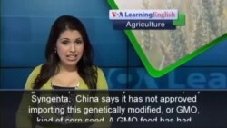 China Refuses Tons of Genetically Changed Corn