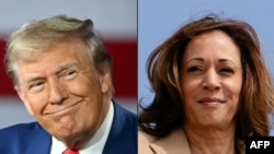 (COMBO) Combinaison d'images créée le 6 septembre 2024 montrant l'ancien président et candidat républicain à la présidence, Donald Trump, et la vice présdiente Kamala Harris, candidate démocrate à la Maison Blanche.