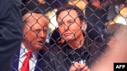 ARCHIVO - El presidente de Estados Unidos, Donald Trump (izq.), y el director ejecutivo de Tesla y SpaceX, Elon Musk, observan una pelea durante UFC 309 en el Madison Square Garden de Nueva York, el 16 de noviembre de 2024.