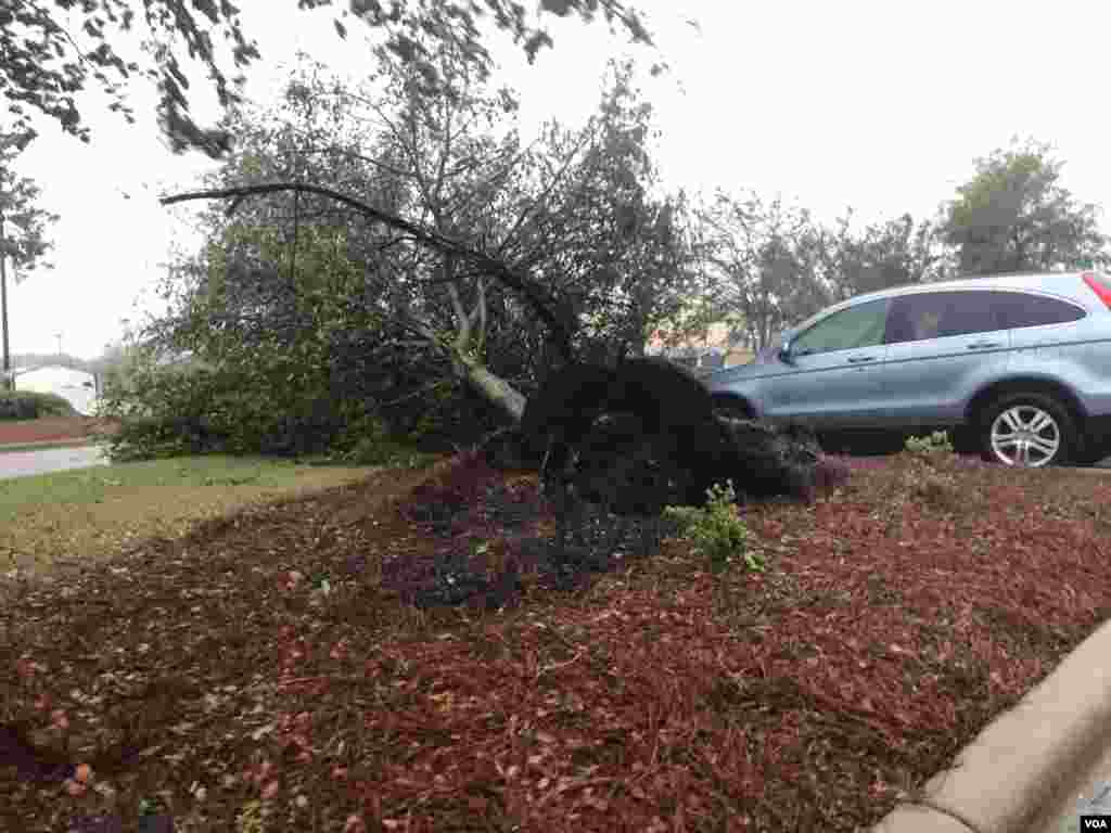 Huracán Florence provoca destrucción en Carolina del Norte.