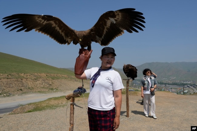 A vendor holds up an eagle as the waits for tourists to take photos with near the Terejl National Park outside Ulaanbaatar, Mongolia on July 3, 2024. (AP Photo/Ng Han Guan)