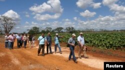 FILE - Members of the U.S. Agriculture Coalition for Cuba walk at a farm in Guira de Melena, Artemisa province March 3, 2015. Two former agriculture secretaries, a number of state agriculture officials and representatives of various state farm bureaus were among the 95 people making the trip, which was organized by the U.S. Agriculture Coalition for Cuba. 