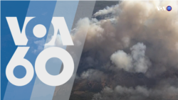 Новости США за минуту – 21 августа 2020