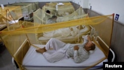 Pasien demam berdarah dirawat di sebuah rumah sakit di Lahore, Pakistan (foto: dok). 