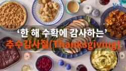 미국에서 한 해 수확에 감사하는 날, 추수감사절