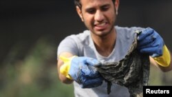 A volunteer collects waste and plastic as part of a campaign to clean up the Nile River sponsored by Egypt's environment ministry in cooperation with VeryNile and Greenish, in Cairo, Egypt, Feb. 10, 2019.
