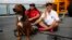 Jennifer Appel, right, and Tasha Fuiava sit with their dogs on the deck of the USS Ashland, Oct. 30, 2017, at White Beach Naval Facility in Okinawa, Japan. 