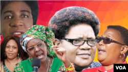Anesifazane abakwezombusazwe