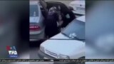 اخبار شامگاهی