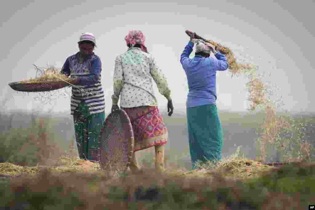 د هند کلي ژوند