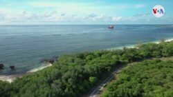 Misión conservación