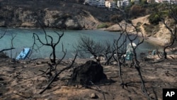 People swim at a beach in Rafina, east of Athens, ten days after the Greece's deadliest wildfire in decades that killed 100 people, Aug. 1, 2018. Three migrant fishermen have been awarded Greek citizenship, after rescuing scores of people forced into the sea by a major wildfire.