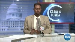Caawa iyo Dunida
